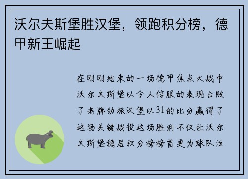 沃尔夫斯堡胜汉堡，领跑积分榜，德甲新王崛起