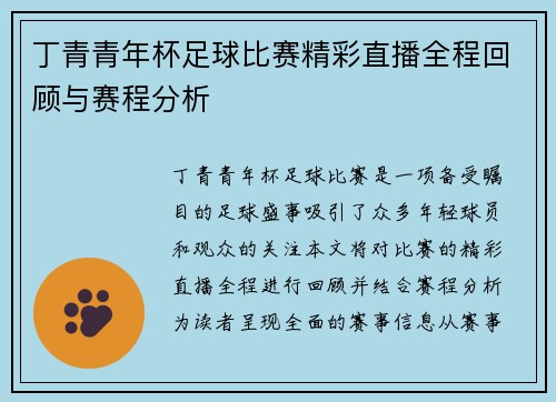 丁青青年杯足球比赛精彩直播全程回顾与赛程分析